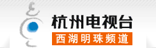 收集电视台各频道台标新